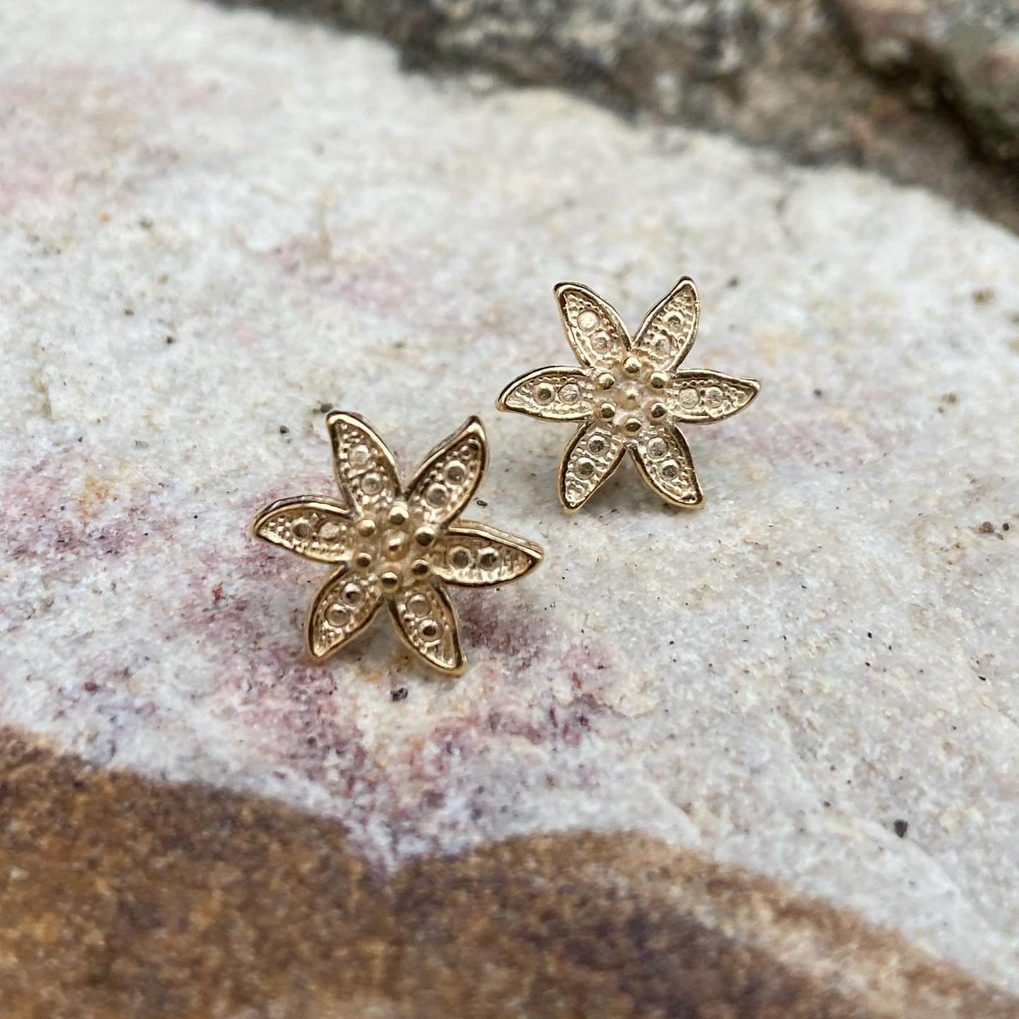 Aretes estrella de mar