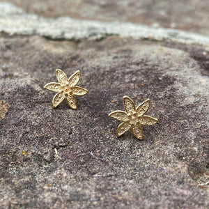 Aretes estrella de mar