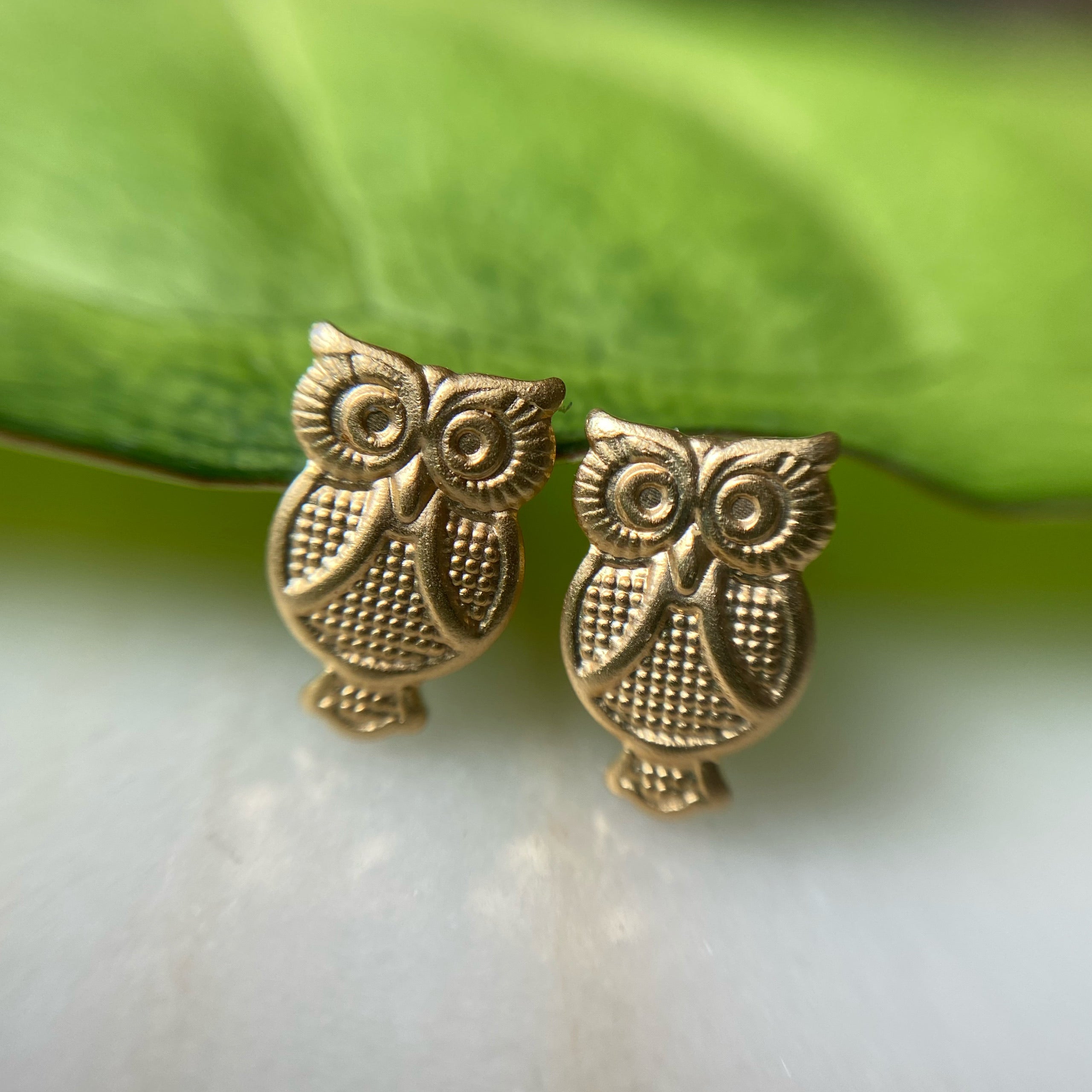 Aretes buhito