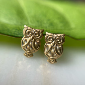 Aretes buhito